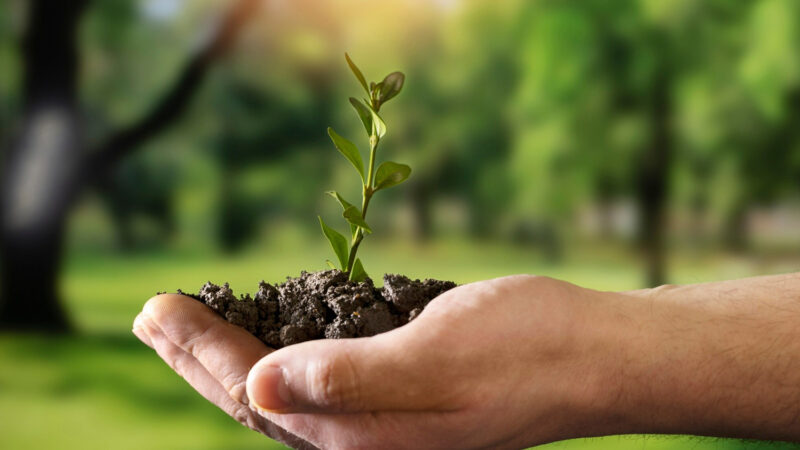 Green Business Models: 5 Companies Leading the Way