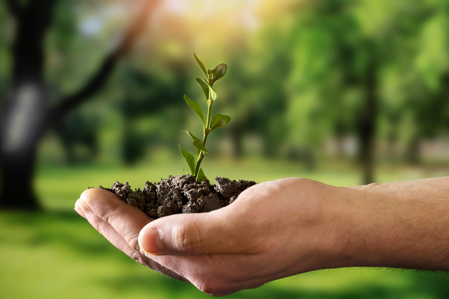 Green Business Models: 5 Companies Leading the Way