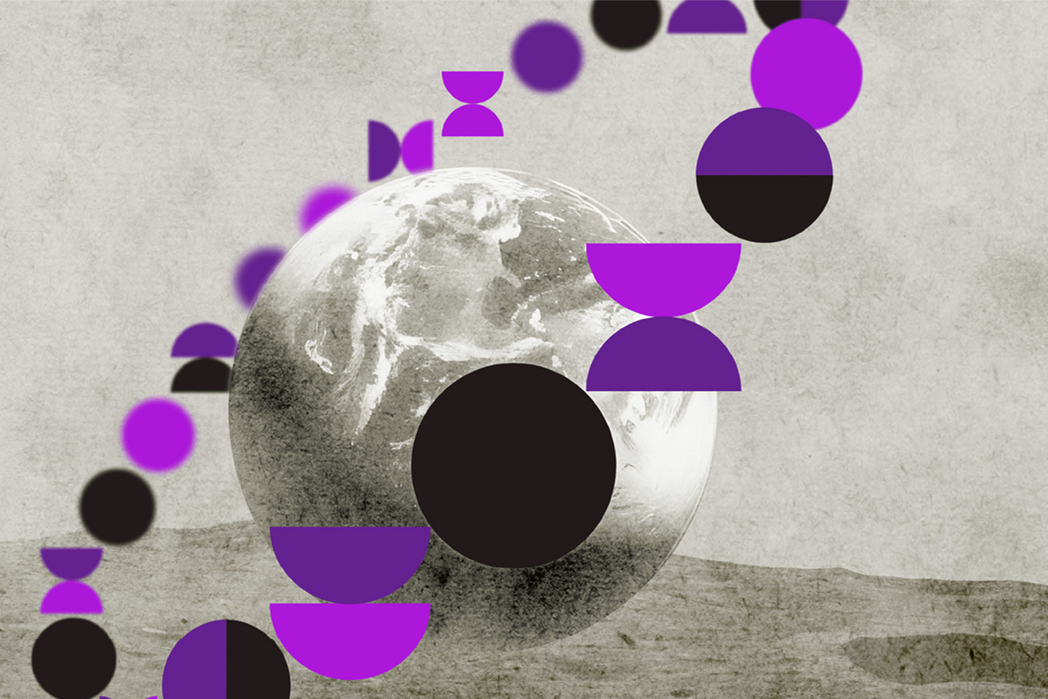 Asia-Europe Cultural Festival 2025 Opens in Shanghai