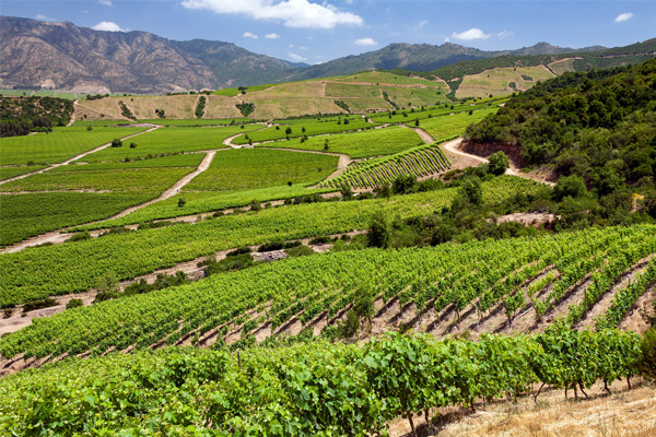 Colchagua Valley, Chile