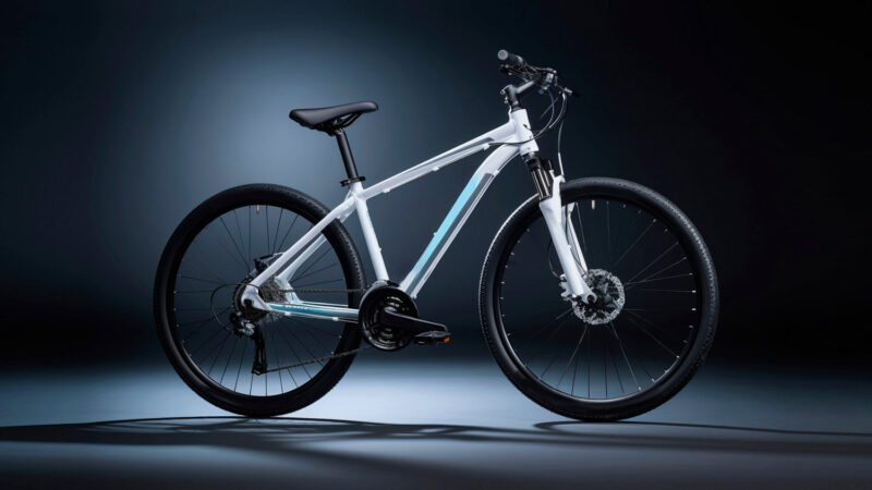 Top 5 Coolest Electric Bikes: Mobility, Comfort, Value