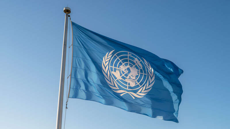 UN Warns EU Regulatory Rollback Risks Developing Nations