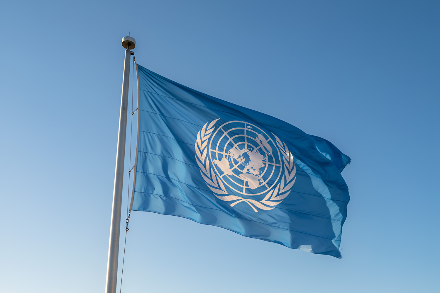 UN Warns EU Regulatory Rollback Risks Developing Nations