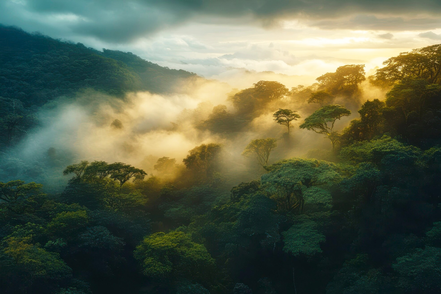 How Climate Change Is Transforming Global Plant Life