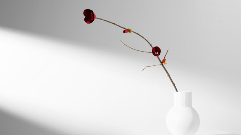 The Art of Minimalism in Modern Design