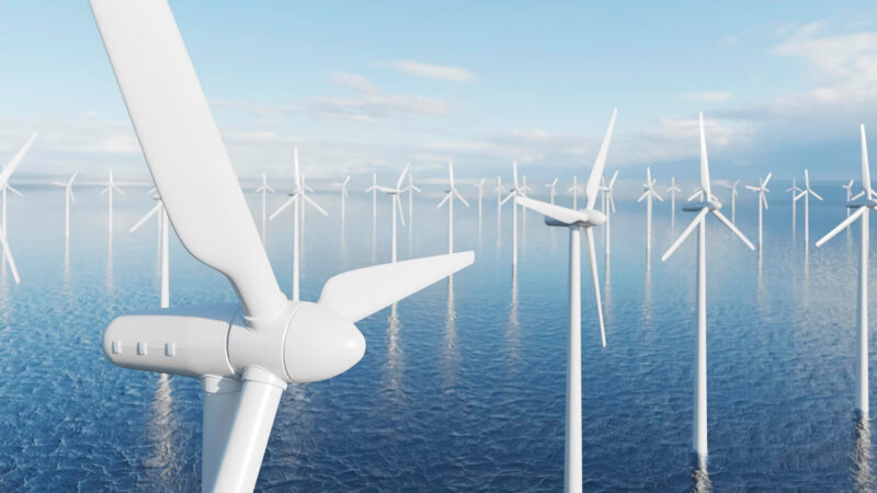 Global Renewable Energy: Leaders, Shares & Future Trends